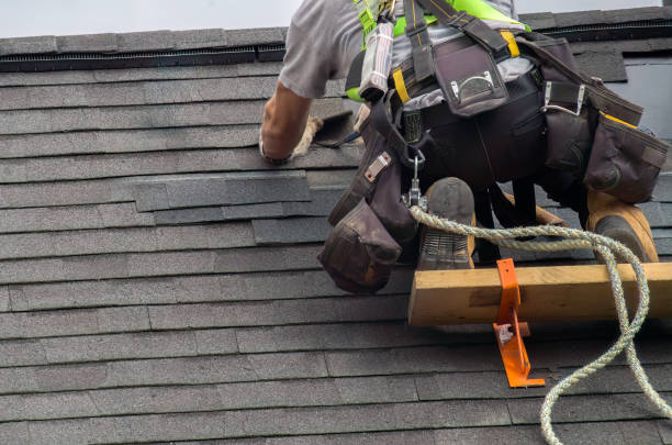 Quick and Trustworthy Emergency Roof Repair Services in Lake Lorraine, FL