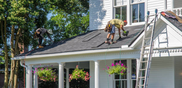 Roof Gutter Cleaning in Lake Lorraine, FL